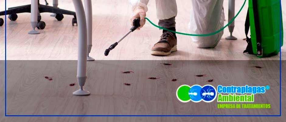 Contrapagas Ambiental Control de Plagas Hostelería Málaga