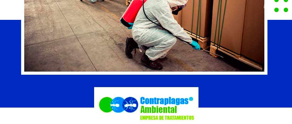 Contrapagas Ambiental Control de Plagas Hostelería Málaga