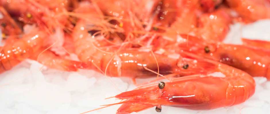 Garcimar Pescados y Mariscos Hostelería Málaga