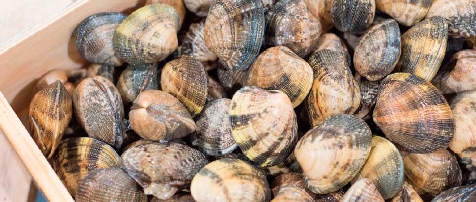 Garcimar Pescados y Mariscos Hostelería Málaga