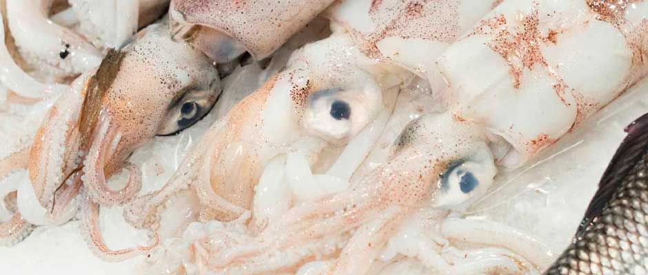 Garcimar Pescados y Mariscos Hostelería Málaga