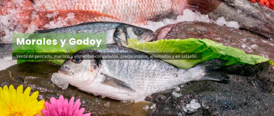 Morales y Godoy Congelados Hostelería Málaga